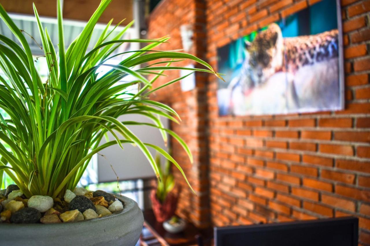 Myr-O Homestay Kombichankulama Экстерьер фото